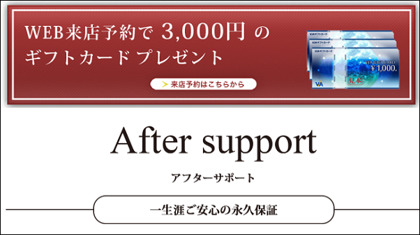 �_�C�������h�V���C�V ���X��