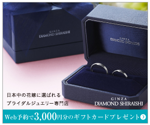 �_�C�������h�V���C�V ���X��